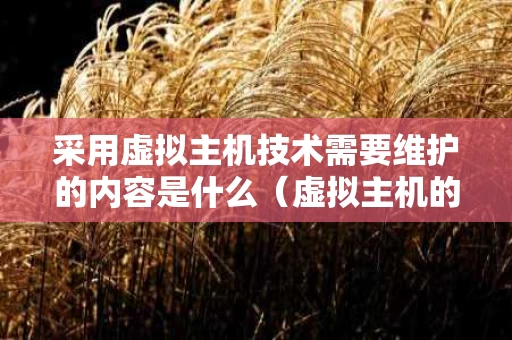 采用虚拟主机技术需要维护的内容是什么（虚拟主机的作用）