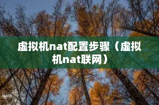 虚拟机nat配置步骤（虚拟机nat联网）