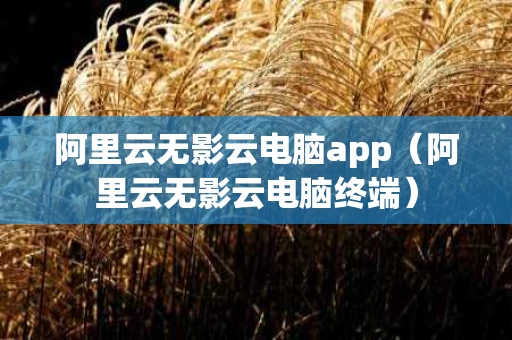 阿里云无影云电脑app（阿里云无影云电脑终端）