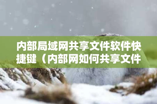 内部局域网共享文件软件快捷键（内部网如何共享文件）