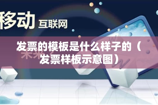 发票的模板是什么样子的（发票样板示意图）