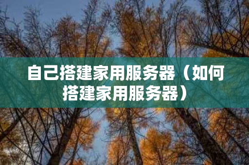 自己搭建家用服务器（如何搭建家用服务器）