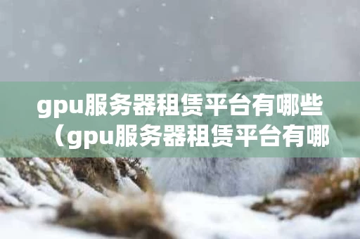 gpu服务器租赁平台有哪些（gpu服务器租赁平台有哪些）