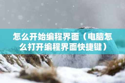 怎么开始编程界面（电脑怎么打开编程界面快捷键）