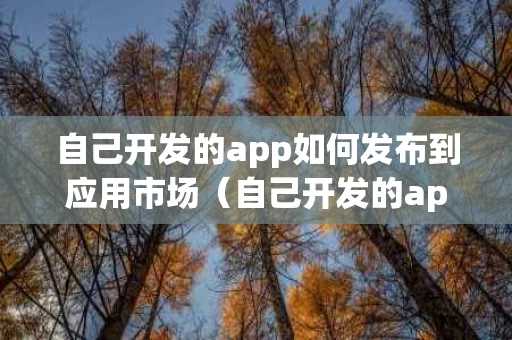 自己开发的app如何发布到应用市场（自己开发的app如何发布到应用市场上）