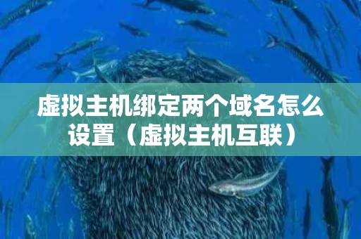 虚拟主机绑定两个域名怎么设置（虚拟主机互联）