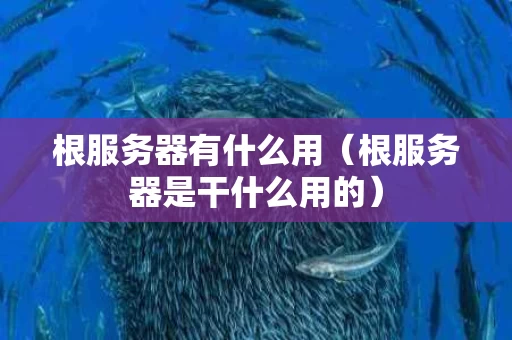 根服务器有什么用（根服务器是干什么用的）