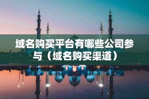域名购买平台有哪些公司参与（域名购买渠道）