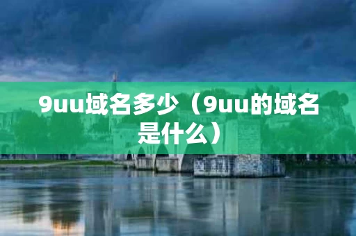9uu域名多少（9uu的域名是什么）