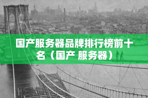 国产服务器品牌排行榜前十名（国产 服务器）