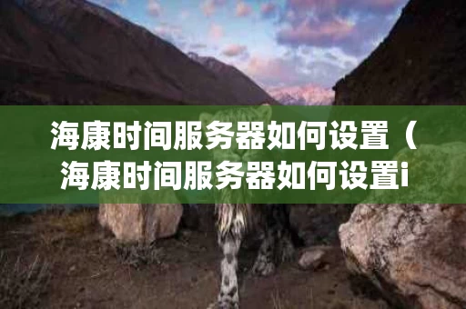 海康时间服务器如何设置（海康时间服务器如何设置ip地址）