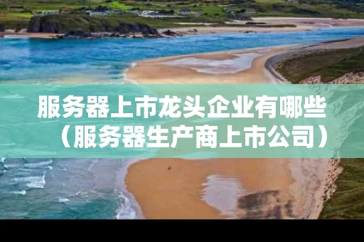 服务器上市龙头企业有哪些（服务器生产商上市公司）