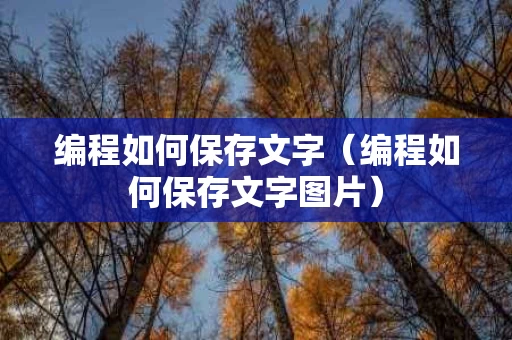 编程如何保存文字（编程如何保存文字图片）