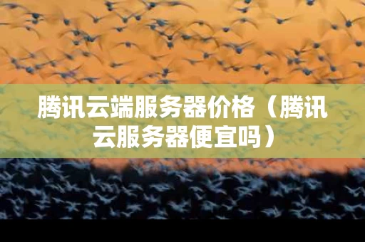 腾讯云端服务器价格（腾讯云服务器便宜吗）