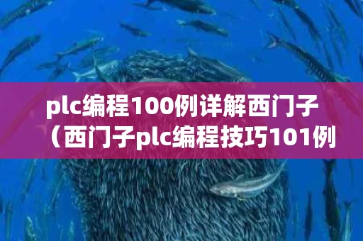 plc编程100例详解西门子（西门子plc编程技巧101例）