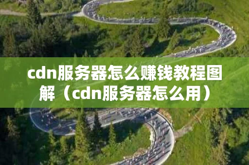 cdn服务器怎么赚钱教程图解（cdn服务器怎么用）