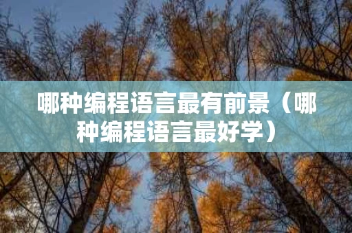 哪种编程语言最有前景（哪种编程语言最好学）