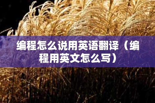 编程怎么说用英语翻译（编程用英文怎么写）