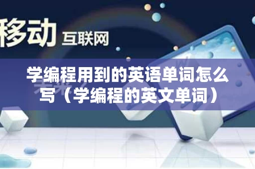 学编程用到的英语单词怎么写（学编程的英文单词）