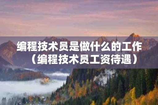 编程技术员是做什么的工作（编程技术员工资待遇）