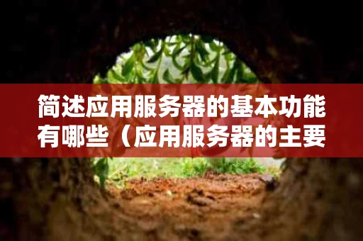 简述应用服务器的基本功能有哪些（应用服务器的主要功能有哪些）