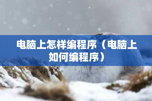 电脑上怎样编程序（电脑上如何编程序）