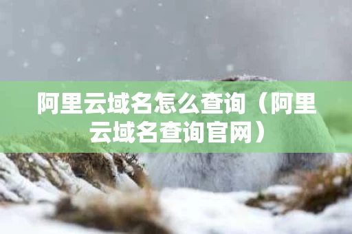 阿里云域名怎么查询（阿里云域名查询官网）