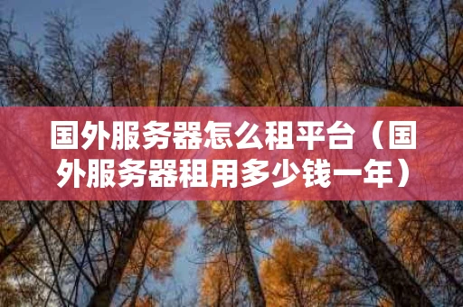 国外服务器怎么租平台（国外服务器租用多少钱一年）