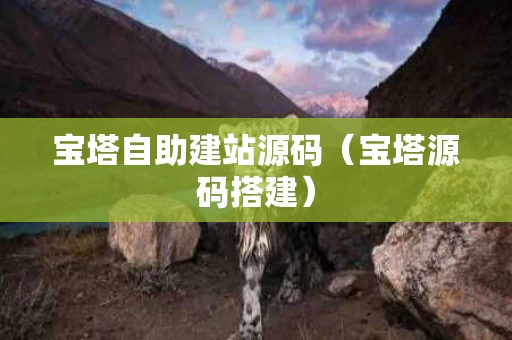 宝塔自助建站源码（宝塔源码搭建）
