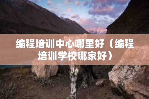 编程培训中心哪里好（编程培训学校哪家好）