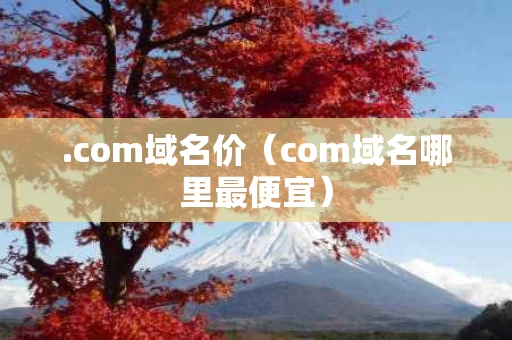 .com域名价（com域名哪里最便宜）