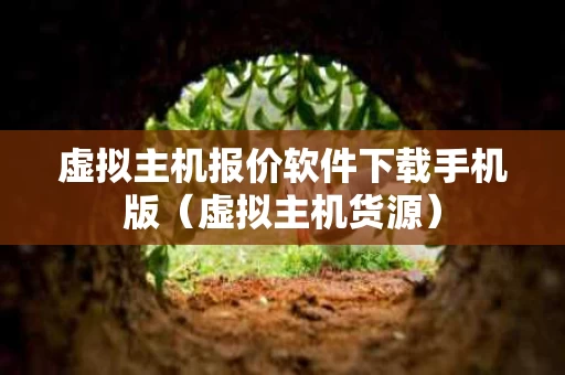 虚拟主机报价软件下载手机版（虚拟主机货源）