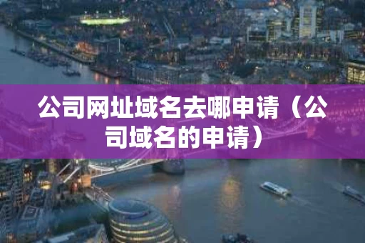 公司网址域名去哪申请（公司域名的申请）