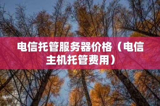 电信托管服务器价格（电信主机托管费用）