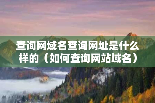 查询网域名查询网址是什么样的（如何查询网站域名）