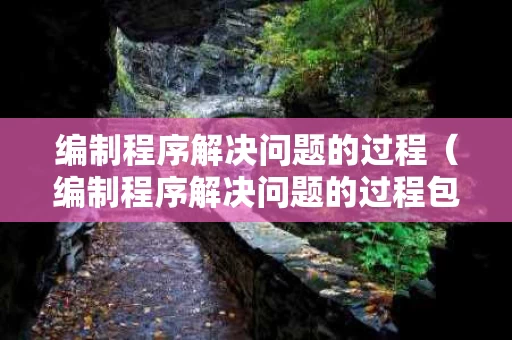 编制程序解决问题的过程（编制程序解决问题的过程包括）