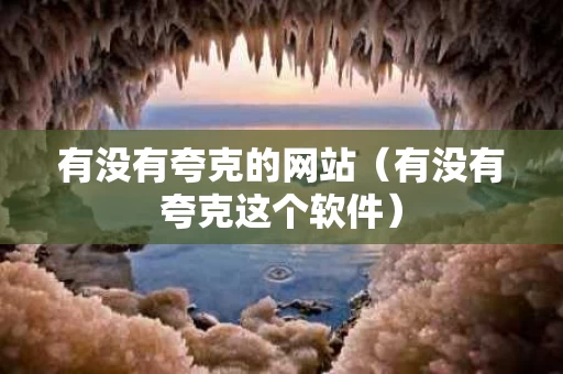 有没有夸克的网站（有没有夸克这个软件）