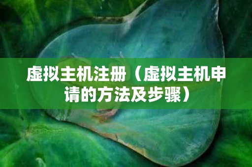 虚拟主机注册（虚拟主机申请的方法及步骤）