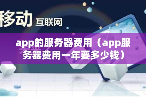 app的服务器费用（app服务器费用一年要多少钱）