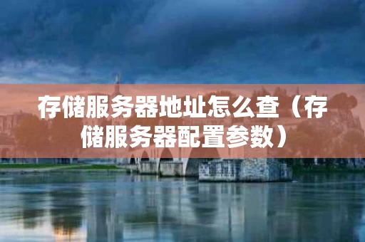存储服务器地址怎么查（存储服务器配置参数）