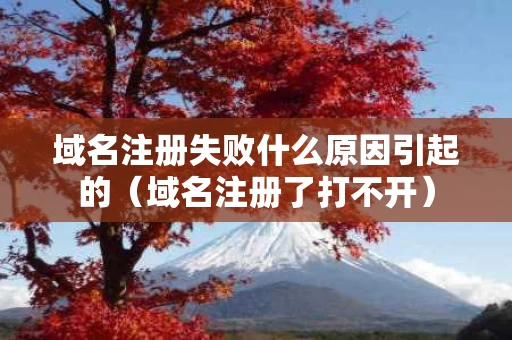 域名注册失败什么原因引起的（域名注册了打不开）