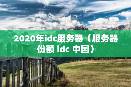 2020年idc服务器（服务器份额 idc 中国）
