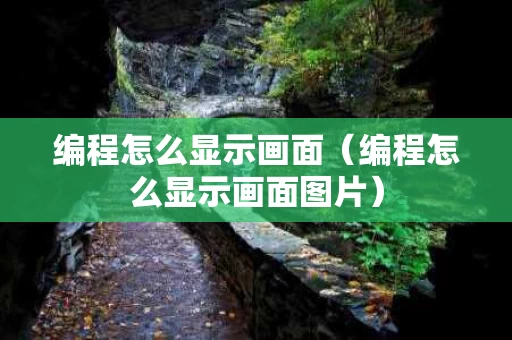 编程怎么显示画面（编程怎么显示画面图片）