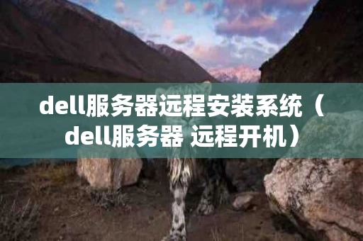 dell服务器远程安装系统（dell服务器 远程开机）