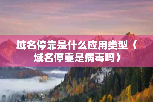 域名停靠是什么应用类型（域名停靠是病毒吗）
