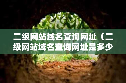 二级网站域名查询网址（二级网站域名查询网址是多少）