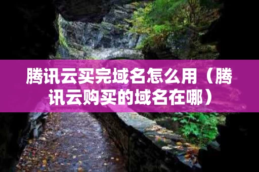 腾讯云买完域名怎么用（腾讯云购买的域名在哪）