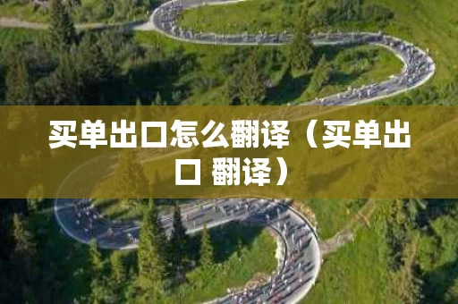 买单出口怎么翻译（买单出口 翻译）