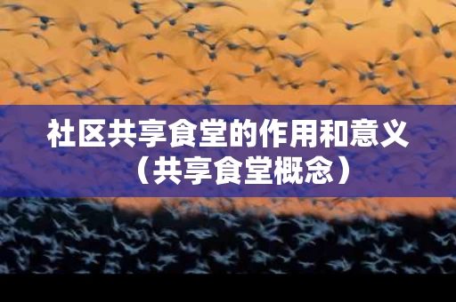 社区共享食堂的作用和意义（共享食堂概念）