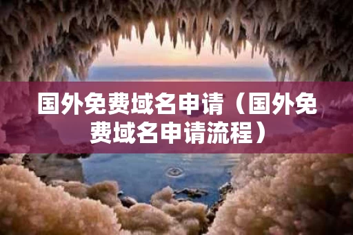 国外免费域名申请（国外免费域名申请流程）